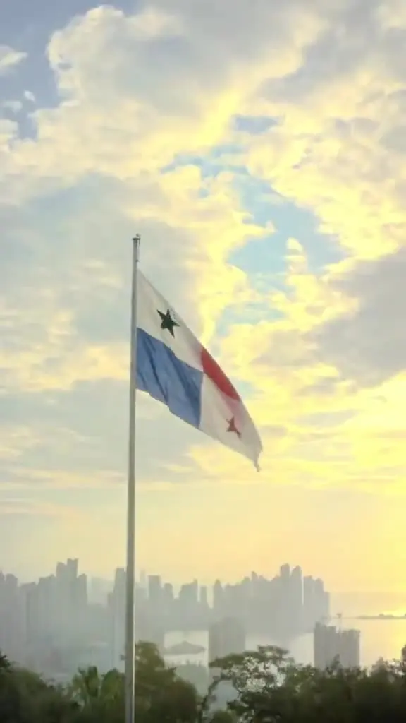 Picture from a post by Napoleon